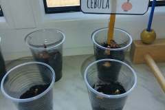 277423153_393159412627683_5616673274610410260_n