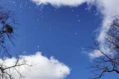 339736792_150028868002006_694105246940414440_n