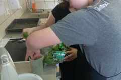 Messenger_creation_87abd2ec-d356-4629-9cbd-30355d34231b