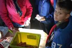 310333854_134216752693829_9216581817127540665_n