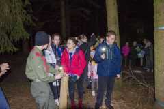 310351730_134216849360486_66659315040635316_n