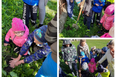 310315869_134221099360061_7974617385979237265_n