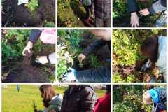 310393090_134221786026659_5522446233694017157_n