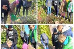 310430734_134221776026660_2768896655792951363_n