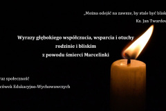 323630104_689654402635835_4167678454087476163_n