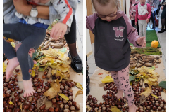 310453004_631946951662171_1656724000152941657_n