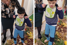 310862152_5345209365574497_452686332771613833_n