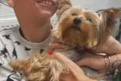 386476808_1301686227007640_8963544623576050222_n