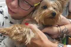 386853908_853539396069585_2717307208543118984_n