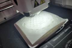 336623476_596083119246875_898796899562803392_n