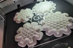 336961043_249383394141992_3464455556961746971_n