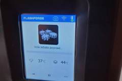 337120455_756655529326101_4497447875188478350_n