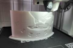 337155248_981591002824986_5881131046154538013_n