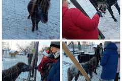 received_2101379243559111