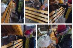 received_318533207660181