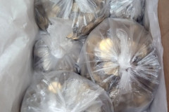 285948071_591841982135717_8109571449419163028_n