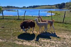 305084316_8375674305783696_6130871872412922650_n