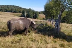 305117994_813839609627257_8684752081636050472_n