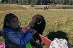 305167204_607450297689156_8912237552604036063_n