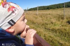 305250971_402350768715830_5025656836561386117_n