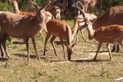 305304229_391879493123086_6153546967689417414_n