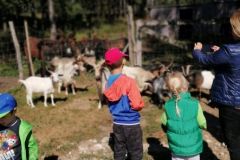 305372998_449045553839759_7270978137819085783_n