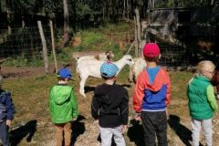 305461914_635757214567623_5662613406115028985_n