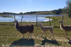 305478055_3320853438238287_3985555503513015088_n