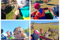 305541529_1301766477235948_7157218448407719507_n