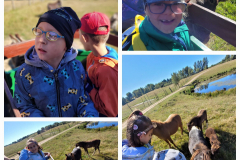 305788485_2260600414109286_3601534546140563055_n