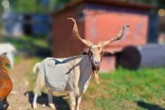 305793333_799937404480171_244318729276119252_n