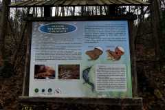 314889850_144319065016931_7535498587105120991_n