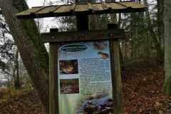 314954762_144318715016966_813300708390318219_n