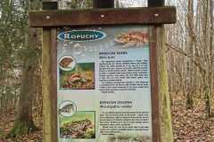 315027730_144318638350307_4186610538162482492_n