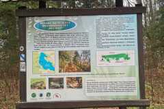 315036801_144318485016989_867209078778692042_n