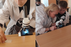 IMG_20220428_094805_Easy-Resize.com_