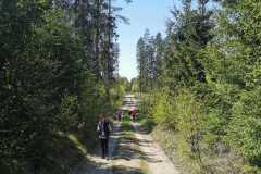 345929117_546580291000035_1143689834869061973_n