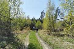 345935746_624366446251103_553723644207701890_n