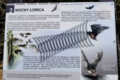 346062944_599363155478561_5730428623323417824_n