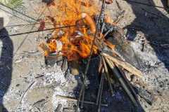 346066940_770399571383081_2894380768258431602_n