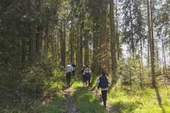 346281752_774204087679829_6771339926531527666_n