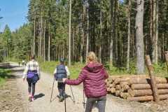 346288185_553819670279680_7379321985212635299_n