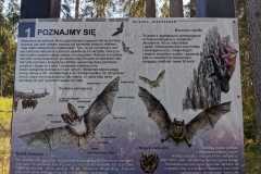 346288850_6384041581653551_2435848559072189369_n