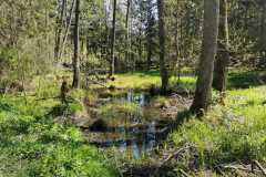 346295245_1969041873442350_8303677469170934050_n