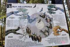 346454897_668120708457405_7365195550726695686_n