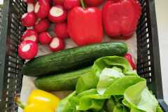 346610327_769169231429609_3915675067870927523_n