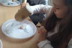 333520582_535793135324056_7088122273827795292_n