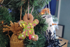 IMG20221213130820_Easy-Resize.com_