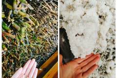 331245533_1600624543786004_2989375340750005639_n