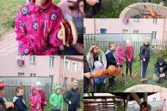 307460919_129887239793447_9218270155740809167_n